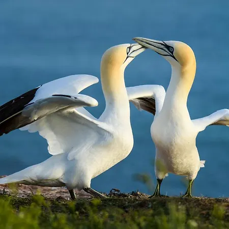 아파트 Haus Sabina *