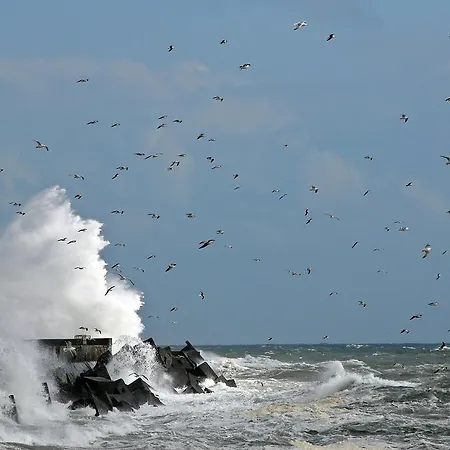 Haus Sabina 아파트 *